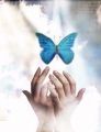 Awatar użytkownika